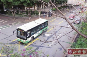 禅城15条“加强版”公交专用道同步改造