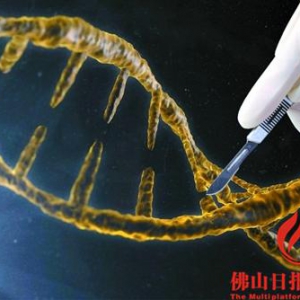 新基因“魔剪”来了?还是中国科学发明的呢!
