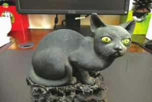 市博物馆征集到一只“黄炳猫”