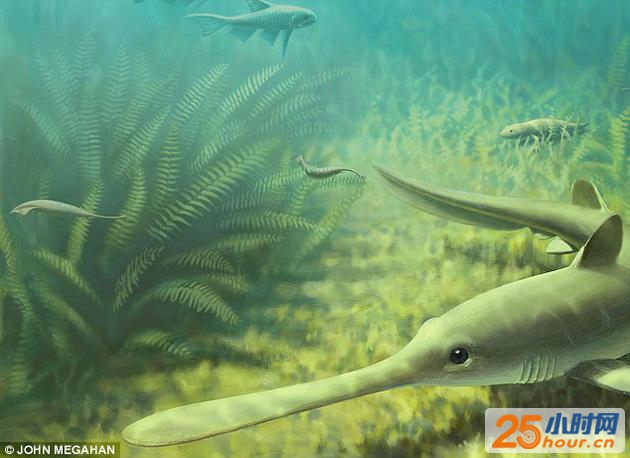 图为艺术家想象中的、3亿年前塔利怪兽的生活环境。图中两条较小的生物就是塔利怪兽，此外还有一条鲨鱼和一条蝾螈的近亲。塔利怪兽的真实身份目前仍无定论。