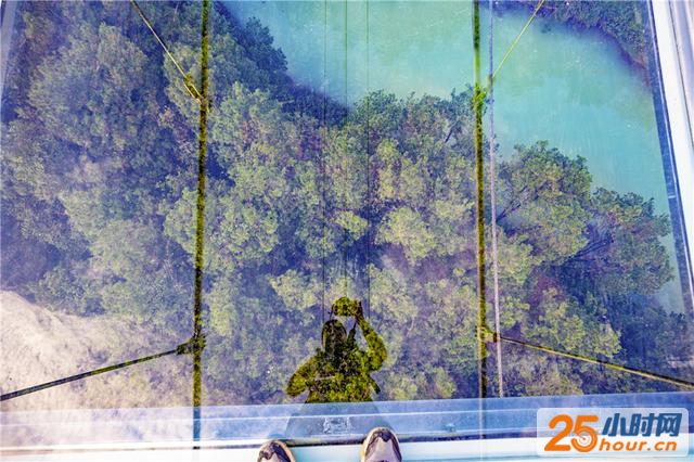 挑战1558米高空全景体验！广佛首座玻璃桥落户佛山盈香生态园，十一正式开放