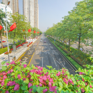 禅城公园道路“花”式迎国庆