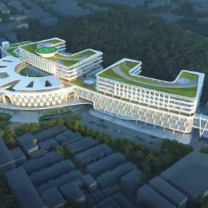 新广东医科大学顺德妇女儿童医院如何建？最新回应来了！