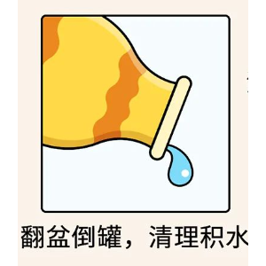 广东疾控提醒：预防登革热，关键是“9个字”